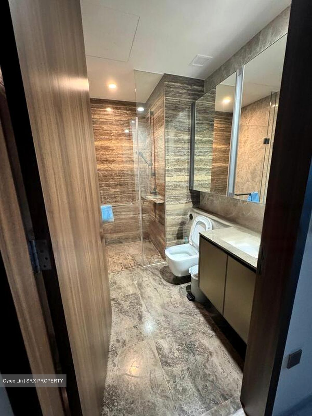 Leedon Green (D10), Condominium #463020031